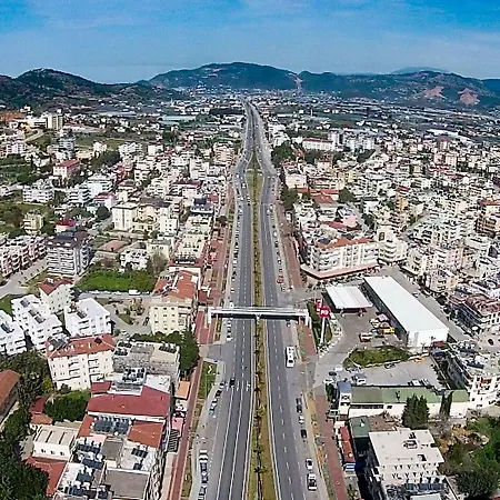 Ozyigit