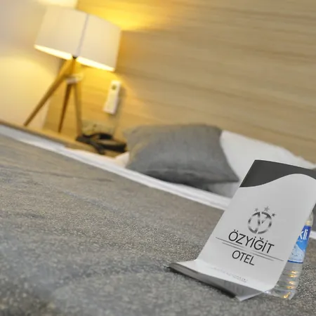 Hotel Ozyigit