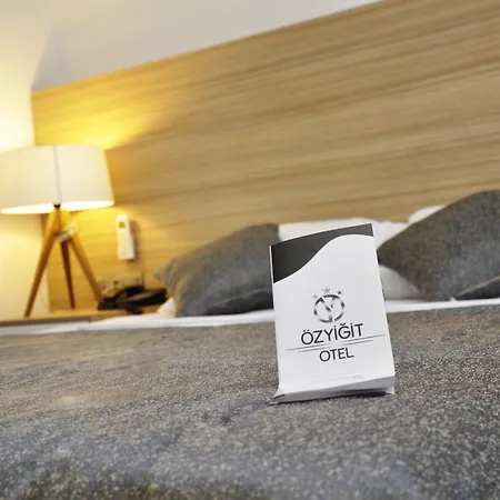 Hotel Ozyigit